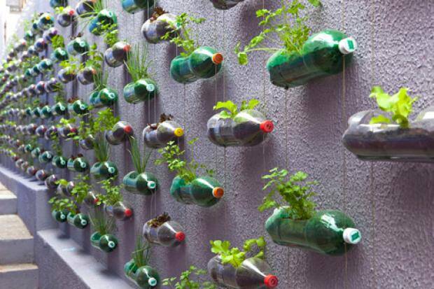 horta vertical com garrafas pet
