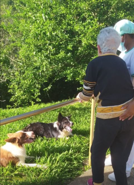 Idosa e profissional do Recanto Verde interagindo com cães no jardim