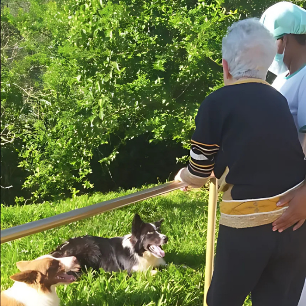 Idosa e profissional do Recanto Verde interagindo com cães no jardim em atividade de PetTerapia.