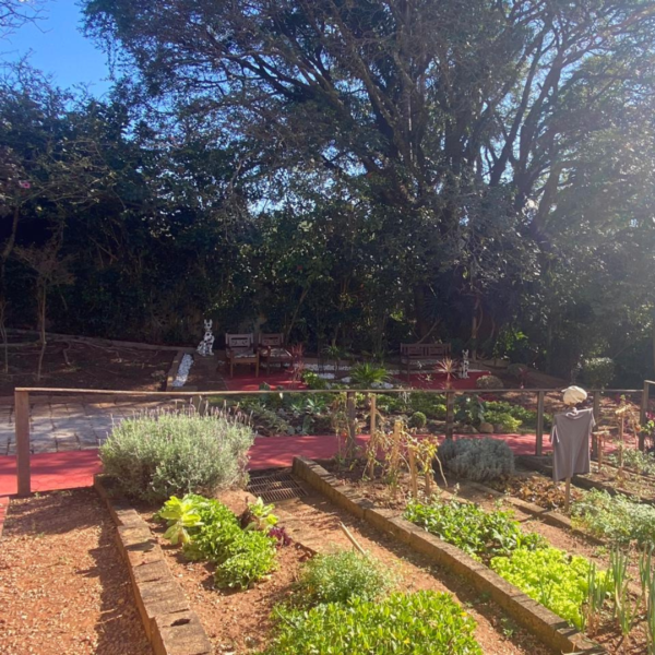 Horta comunitária da Estância das Flores com plantas variadas.