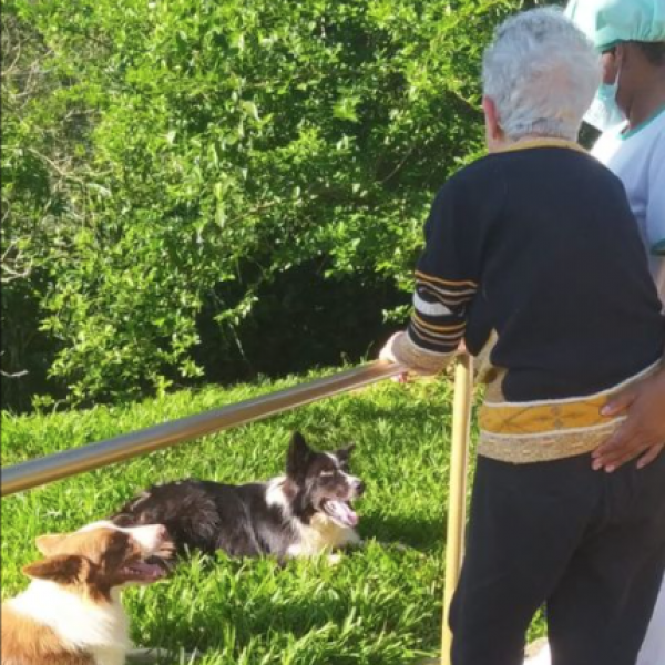 Idosa e profissional do Recanto Verde interagindo com cães no jardim